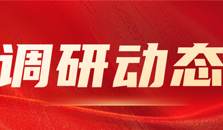 集团公司纪委委员、总管帐师袁媛赴腾博官网诚信为本公司发展资产治理专项调研